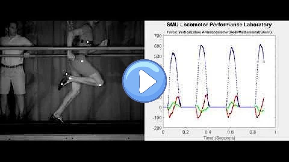 Play video: Jeremy Wariner: The Physics of Elite 400-Meter Running Video thumb: Jeremy Wariner: The Physics of Elite 400-Meter Running