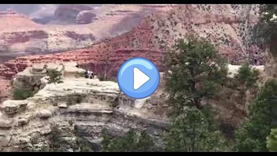 Play video: Onlookers scream as a woman falls to her death at the Grand Canyon Video thumb: Onlookers scream as a woman falls to her death at the Grand Canyon