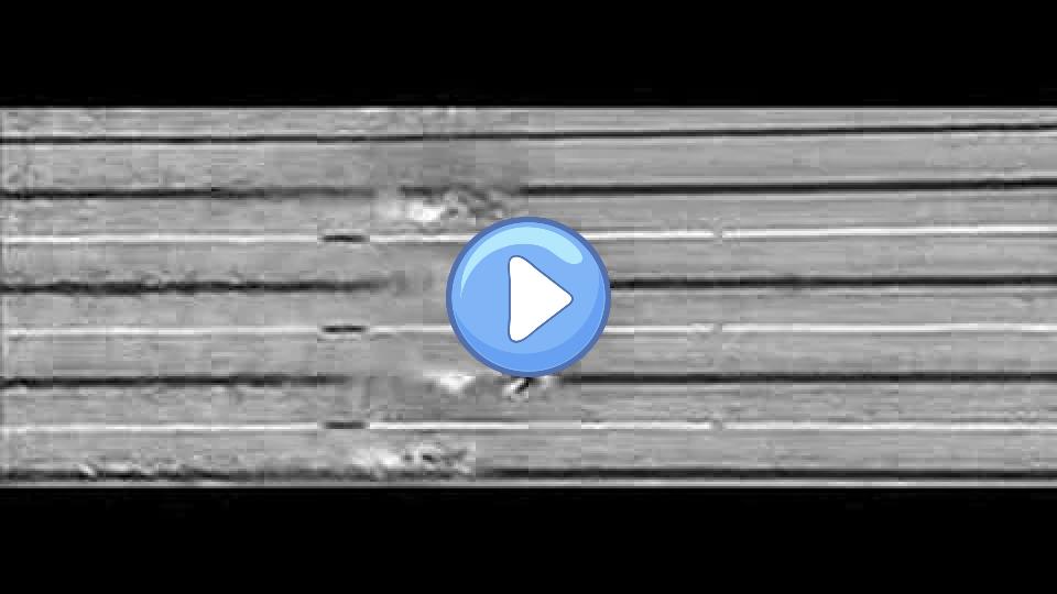 Play video: Pieter van den Hoogenband Video thumb: Pieter van den Hoogenband