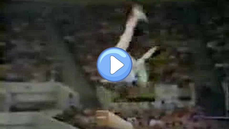 Play video: 1979 World Championships Gymnastics Nadia Comaneci BB Video thumb: 1979 World Championships Gymnastics Nadia Comaneci BB