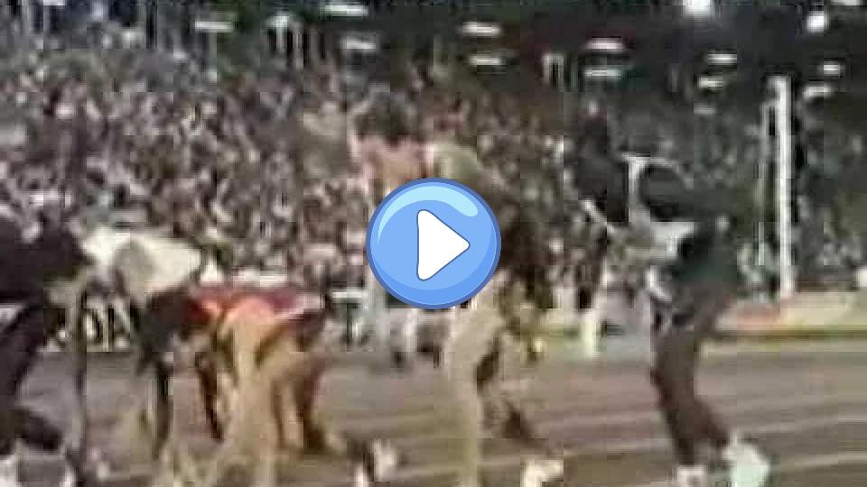 Play video: Steve Ovett Knee Injury (6 of 6) Video thumb: Steve Ovett Knee Injury (6 of 6)