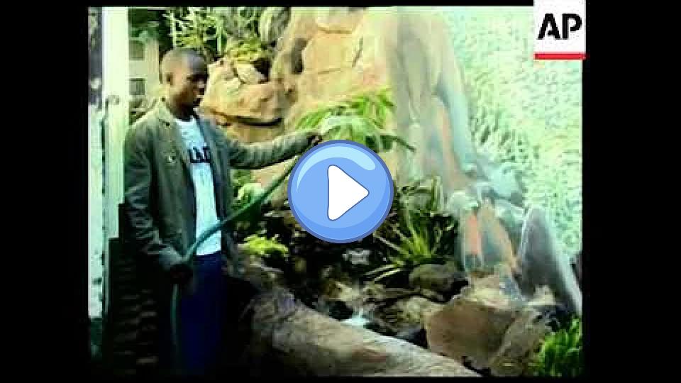 Play video: Olympic marathon champion Sammy Wanjiru dies after falling from a balcony Video thumb: Olympic marathon champion Sammy Wanjiru dies after falling from a balcony