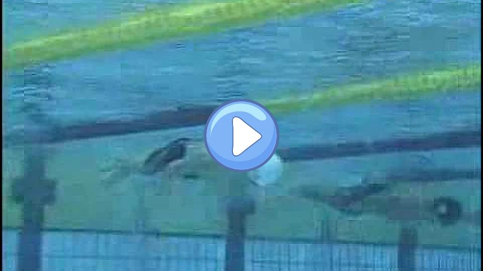 Play video: Kosuke Kitajima Breaststroke 1/4 (Underwater Camera/200m/2008) Video thumb: Kosuke Kitajima Breaststroke 1/4 (Underwater Camera/200m/2008)